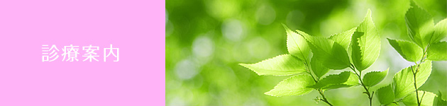 診療案内